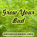 Growing Weed
